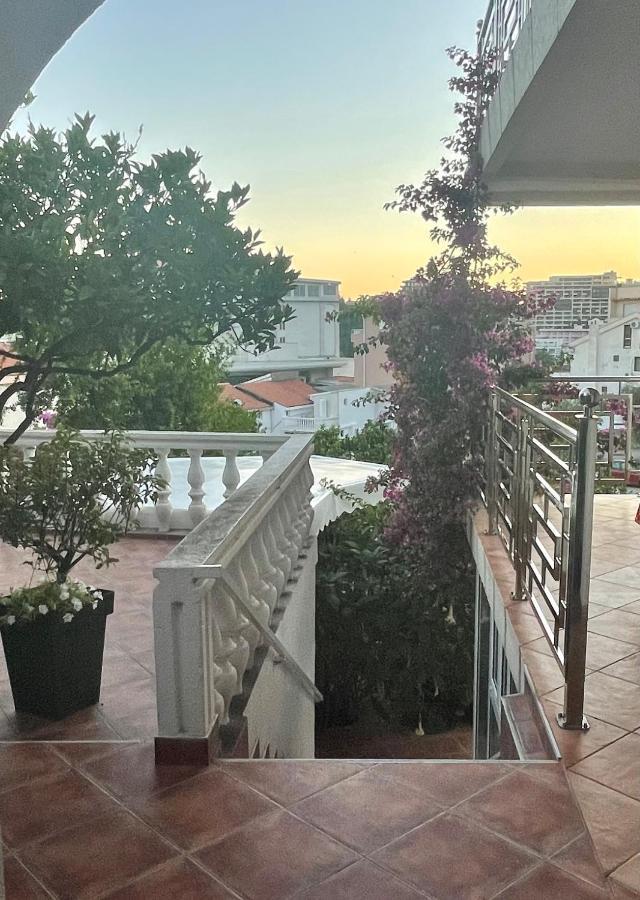 Iva Becici (Budva)